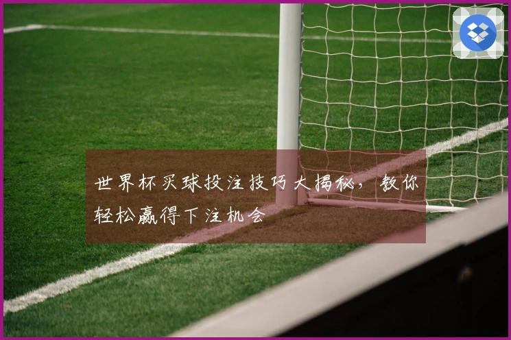 世界杯买球投注技巧大揭秘，教你轻松赢得下注机会